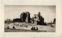 Artist Job Nixon: Temples of Venus and Rome, Rome