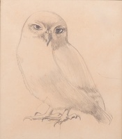 Artist Winifred Knights: Owl, circa 1922